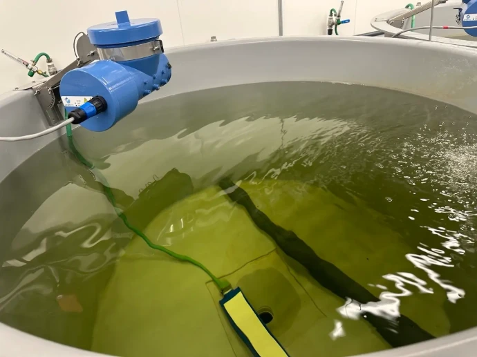 green-water