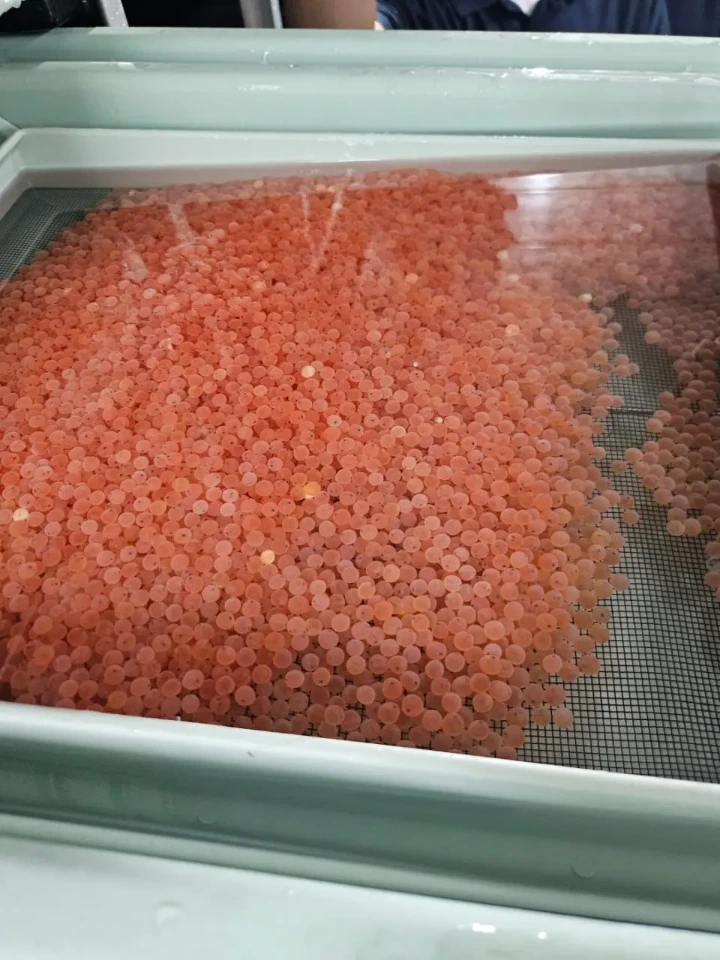 salmon-eggs