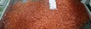 Blog Post 'VARS Aquaculture: The First and Largest Supplier of Salmon Eggs in South Korea' cover image.webp